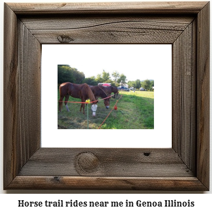 horse trail rides near me in Genoa, Illinois